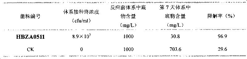 High-efficiency bacterial strain for degrading herbicide atrazine and function thereof