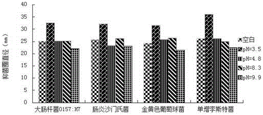 Great burdock fruit extract and preparation method thereof and application of great burdock fruit extract in bacteriostasis