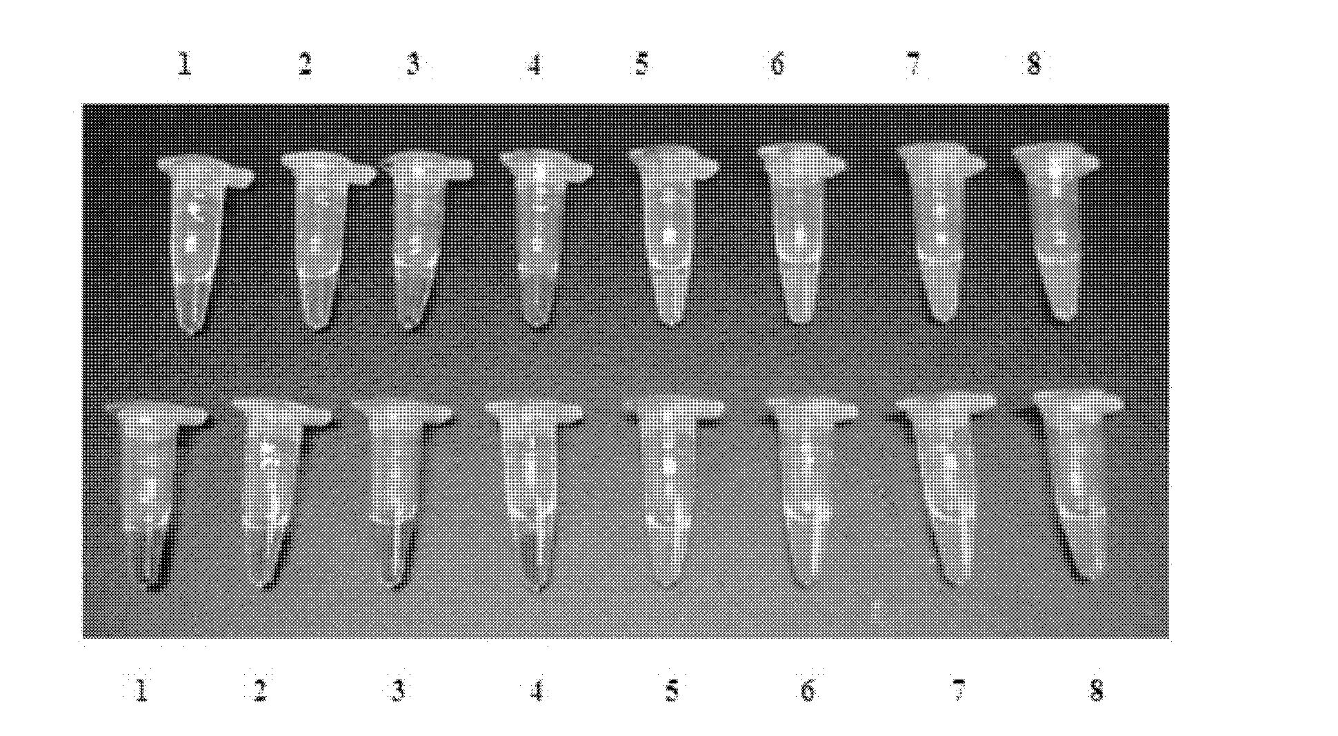 Primer for detecting CAMV35S genes, relevant kit and detecting method