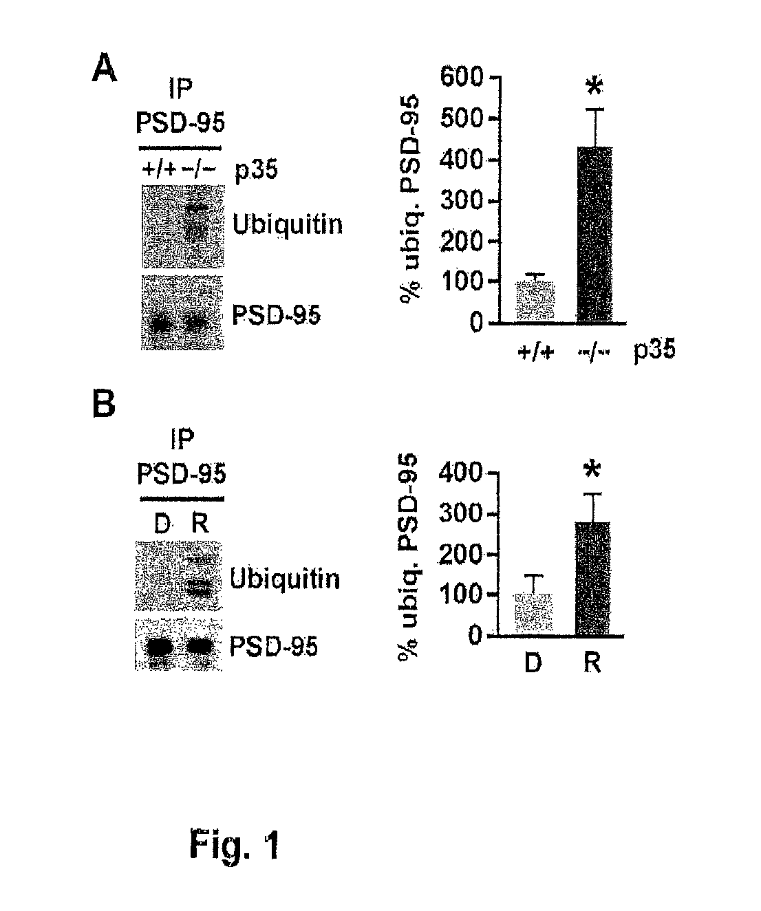 Modulation of ubiquitination of synaptic proteins for the treatment of neurodegenerative and psychiatric disorders