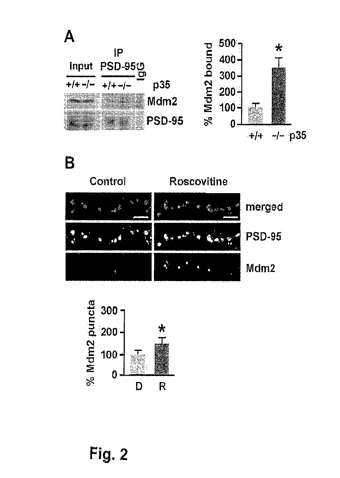 Modulation of ubiquitination of synaptic proteins for the treatment of neurodegenerative and psychiatric disorders