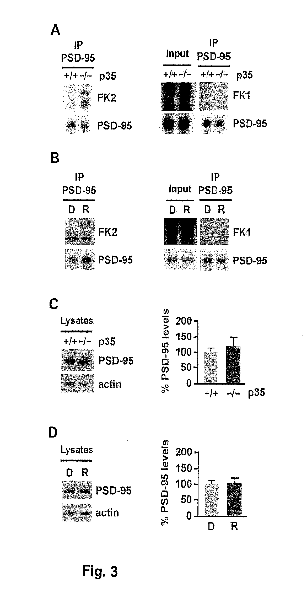 Modulation of ubiquitination of synaptic proteins for the treatment of neurodegenerative and psychiatric disorders