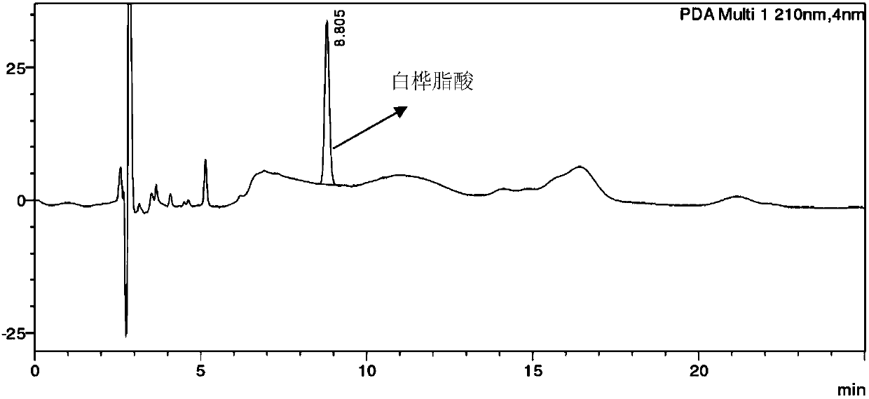 Method for extracting triterpene substances from inonotus obliquus by use of quorum sensing molecules induction