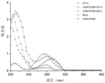 Immunodetection method capable of detecting Furaltadone metabolite AMOZ, MG (malachite green) and LMG (leucomalachite green) simultaneously