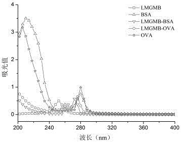 Immunodetection method capable of detecting Furaltadone metabolite AMOZ, MG (malachite green) and LMG (leucomalachite green) simultaneously