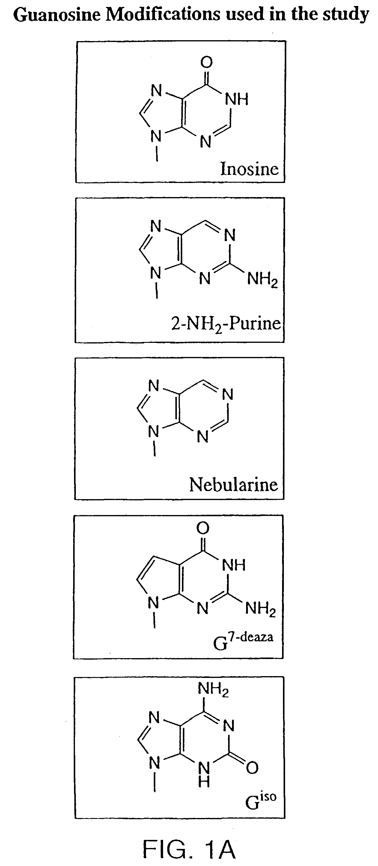 Modulation of oligonucleotide CpG-mediated immune stimulation by positional modification of nucleosides