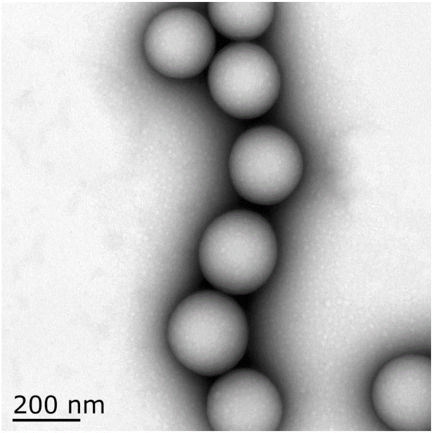 Pachymaran polylactic acid nanoemulsion and preparing method and application thereof