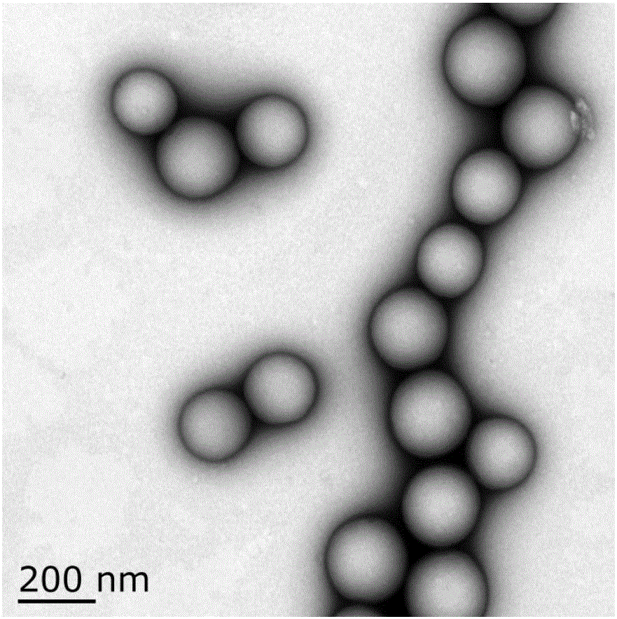 Pachymaran polylactic acid nanoemulsion and preparing method and application thereof