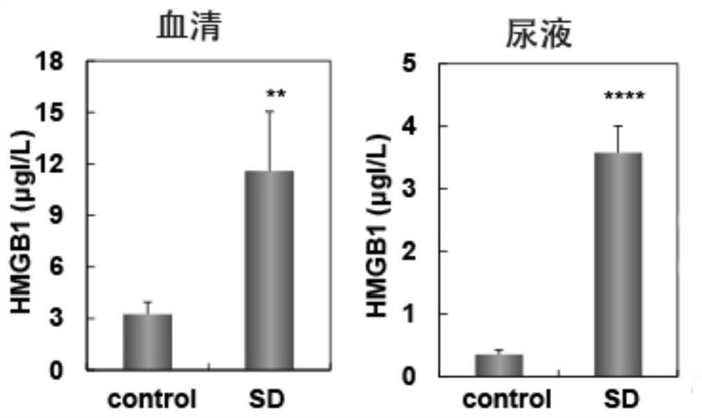 Circadian rhythm sleep disorder biomarkers