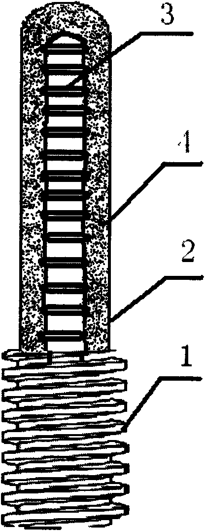 Femoral head support frame and manufacturing method thereof