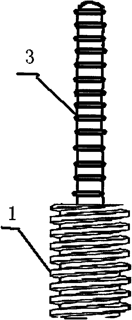 Femoral head support frame and manufacturing method thereof