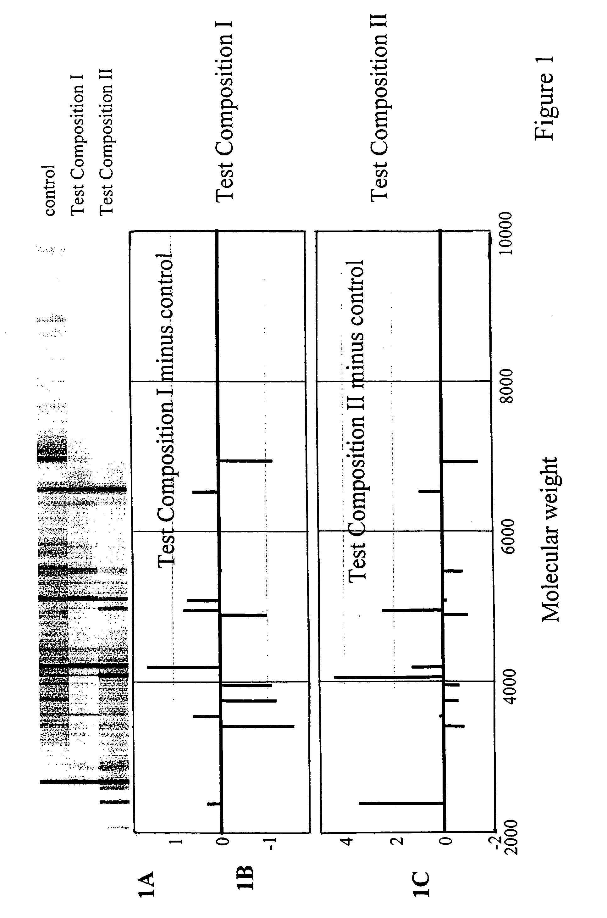 Toxicity typing using liver stem cells