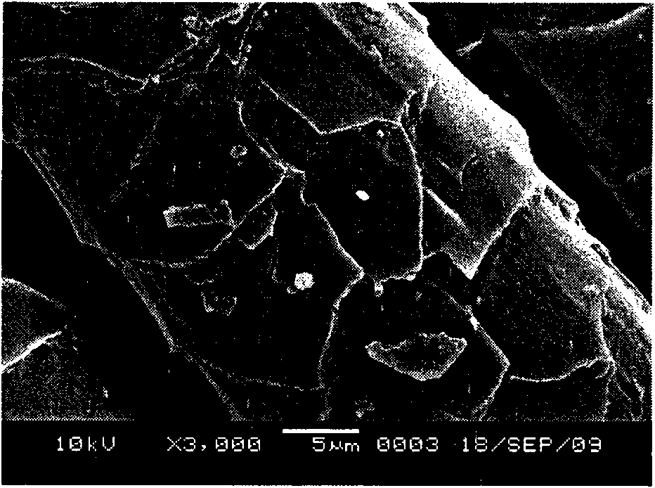 Method for microwave chemical modification treatment of wool