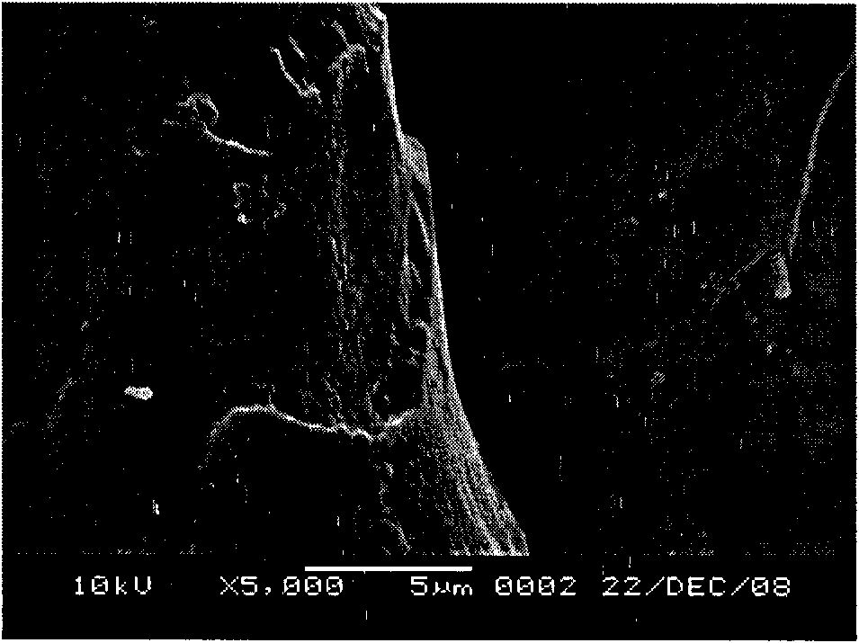 Method for microwave chemical modification treatment of wool