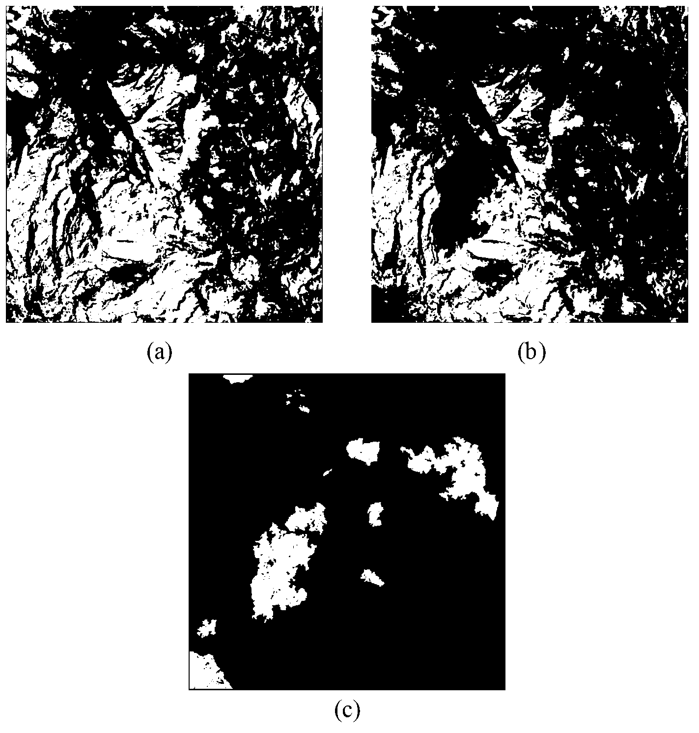 Remote sensing image change detection method based on nuclear transmission