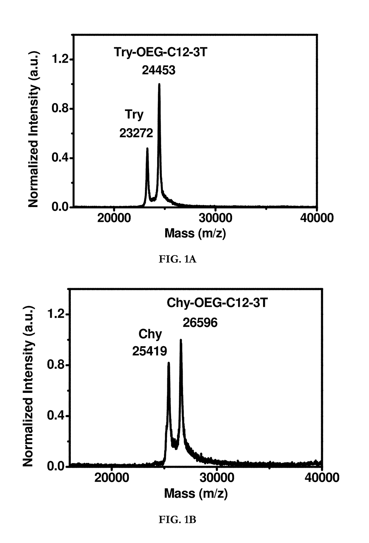 Hydrophobin mimics: process for preparation thereof