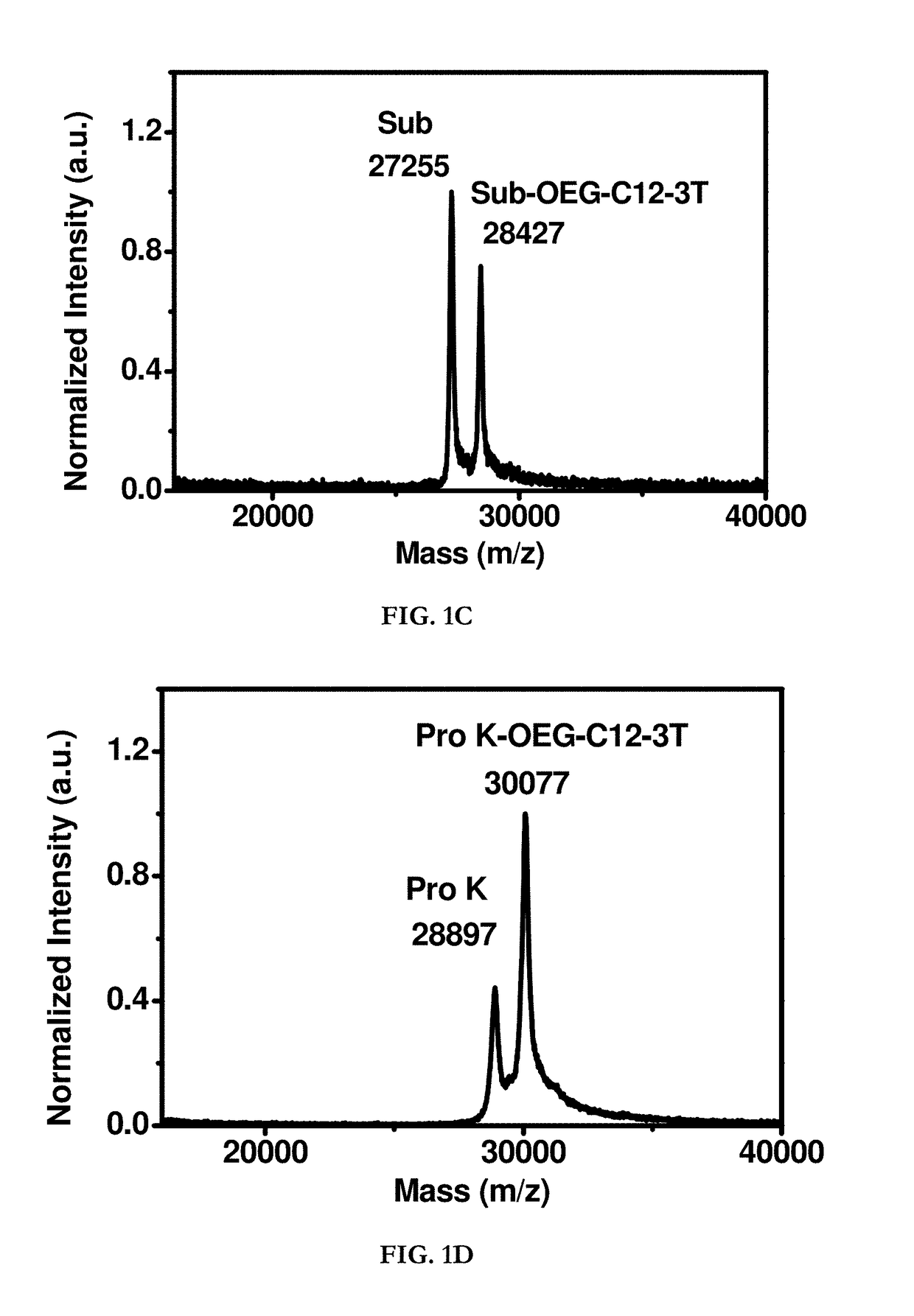 Hydrophobin mimics: process for preparation thereof