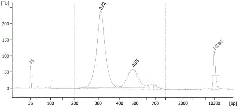 Fetal chromosome library construction kit and method and application thereof