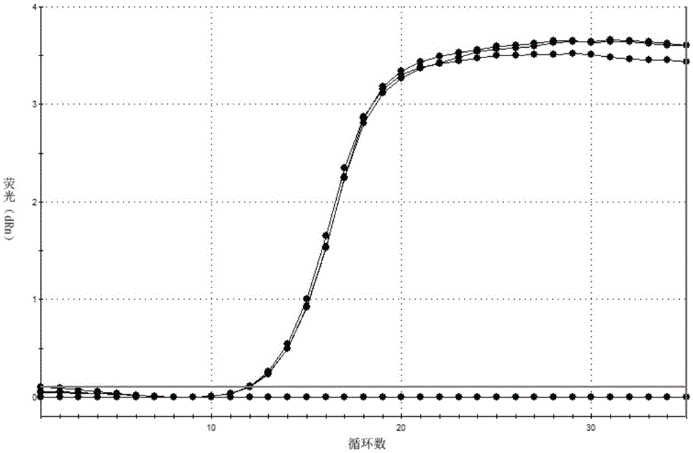 Fetal chromosome library construction kit and method and application thereof