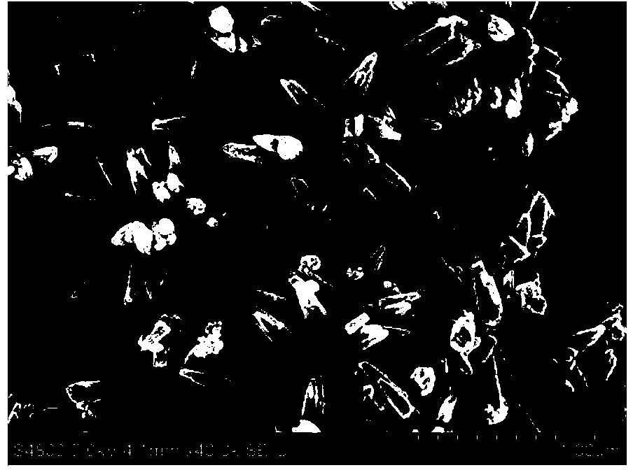 Preparation method of hydroxyapatite material doped with fluorine and potassium