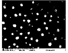 Food-grade evening primrose oil microemulsion freeze-dried powder and preparation method thereof