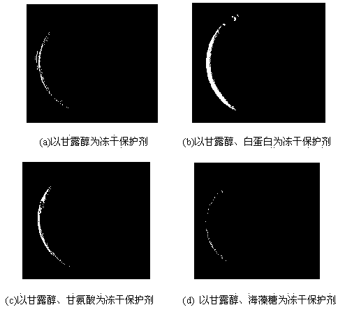 Food-grade evening primrose oil microemulsion freeze-dried powder and preparation method thereof