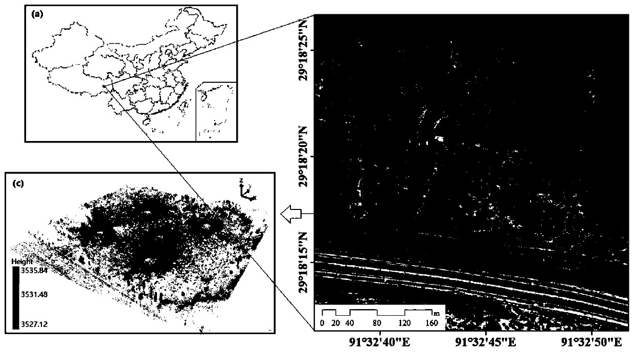 Method for measuring vegetation coverage of sandy land vegetation in alpine fragile area based on TLS