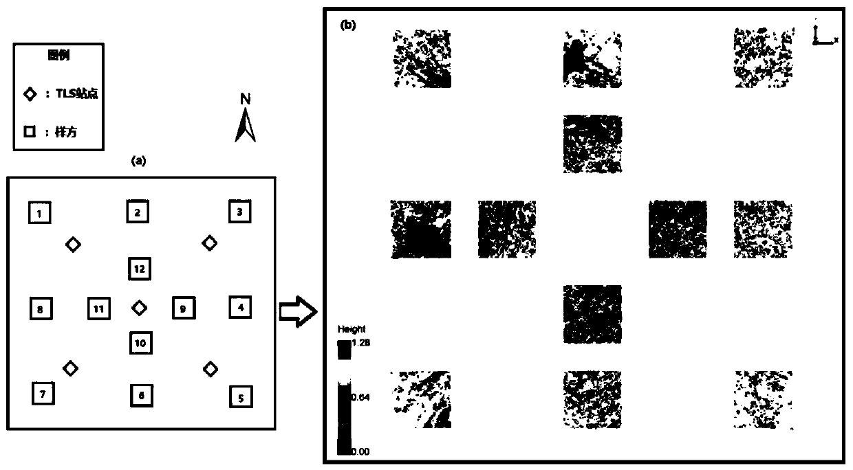 Method for measuring vegetation coverage of sandy land vegetation in alpine fragile area based on TLS