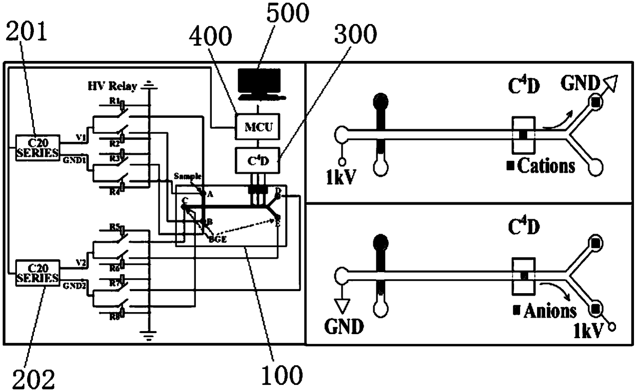 System and method for synchronous detection and separation of negative and positive ions based on microchip electrophoresis