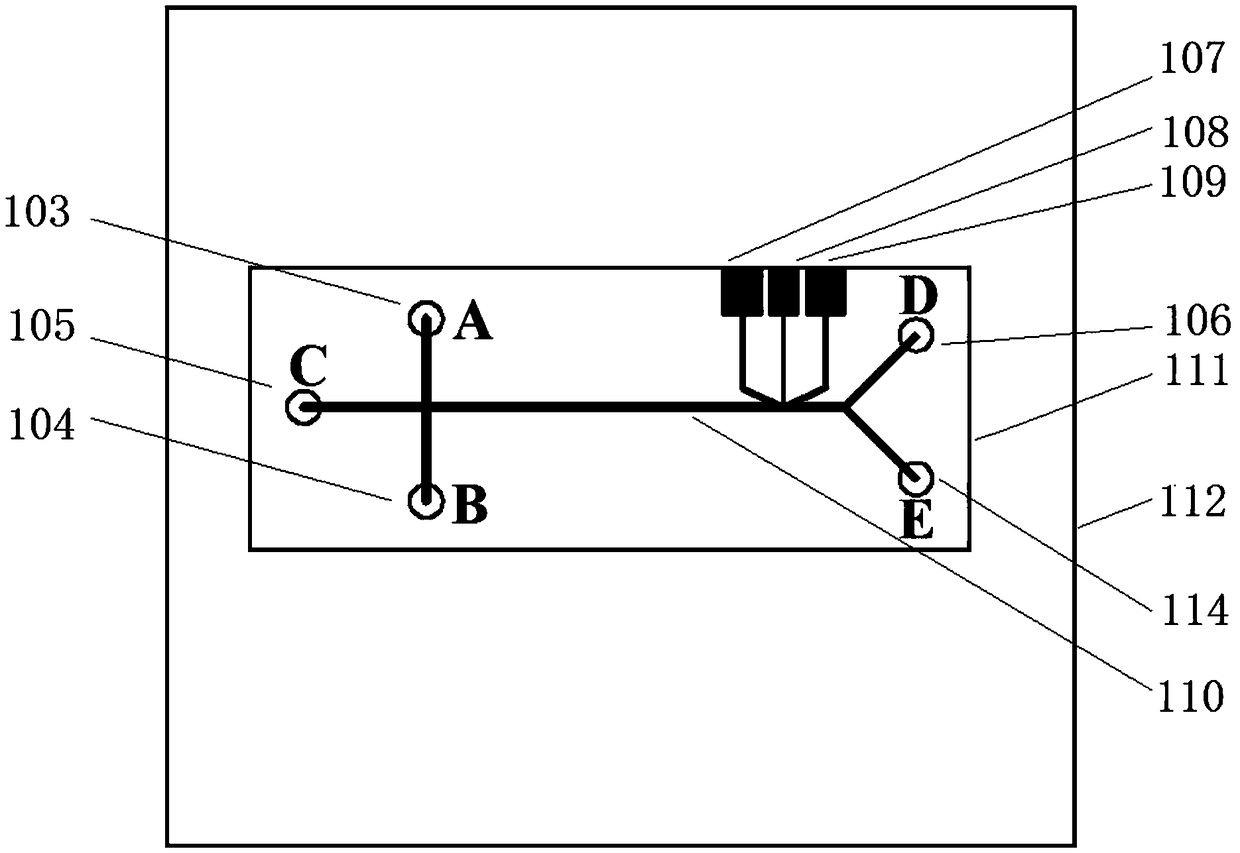 System and method for synchronous detection and separation of negative and positive ions based on microchip electrophoresis