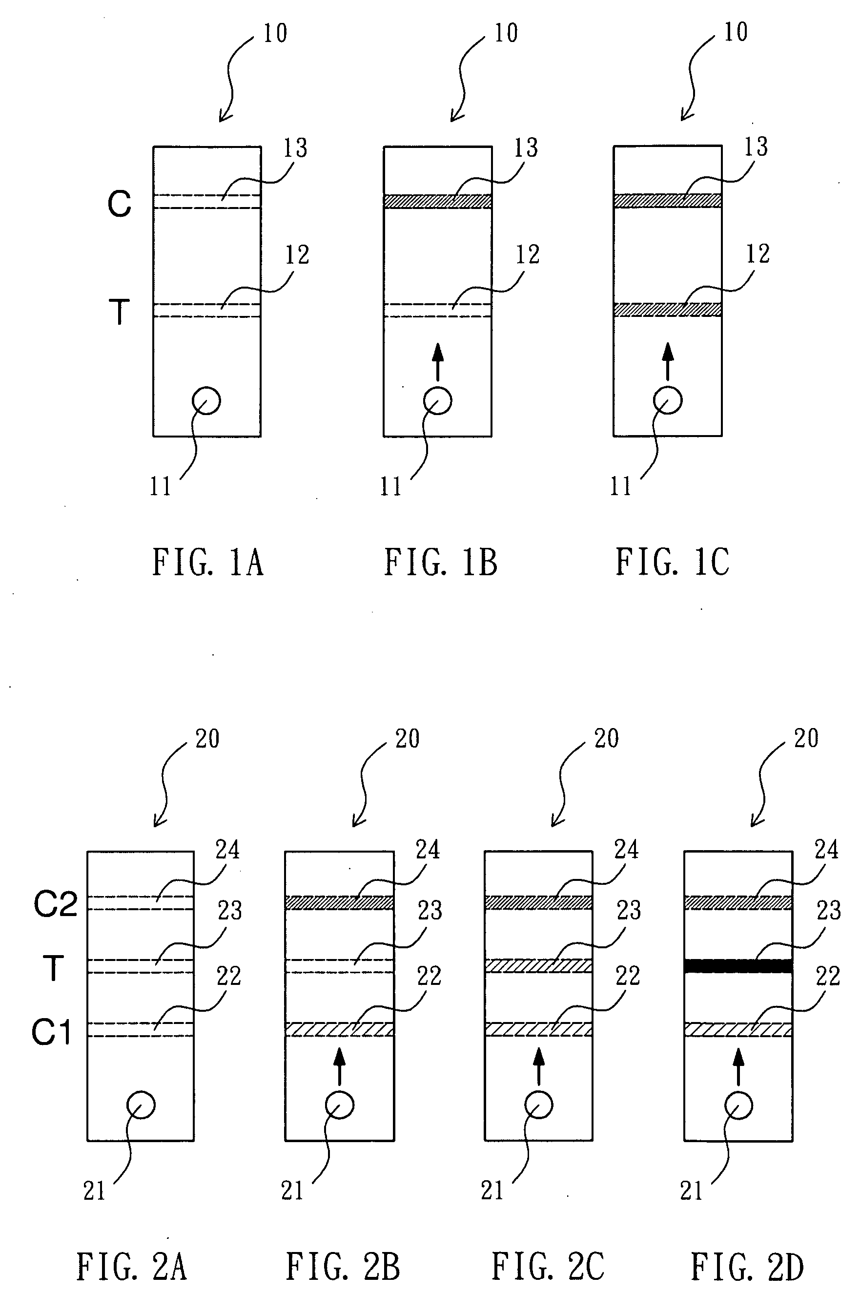 Biological test strip