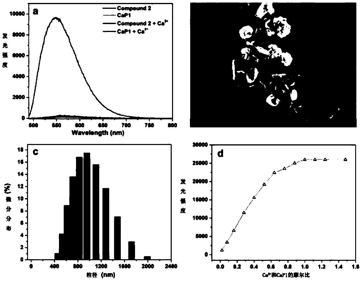 Synthesis method of phosphorescence molecular probe for specific detection on calcium ions and application