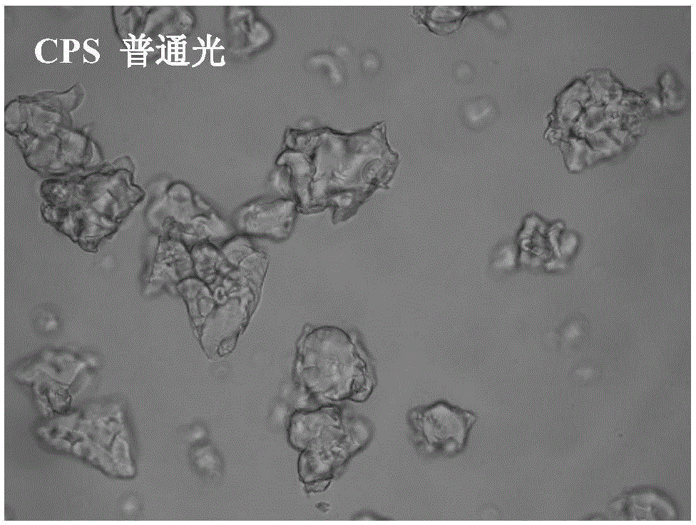 Preparation method of amorphous granular resistant starch