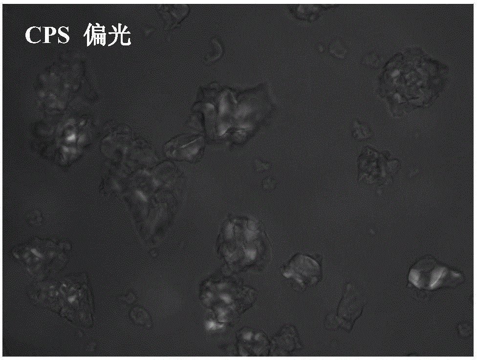 Preparation method of amorphous granular resistant starch