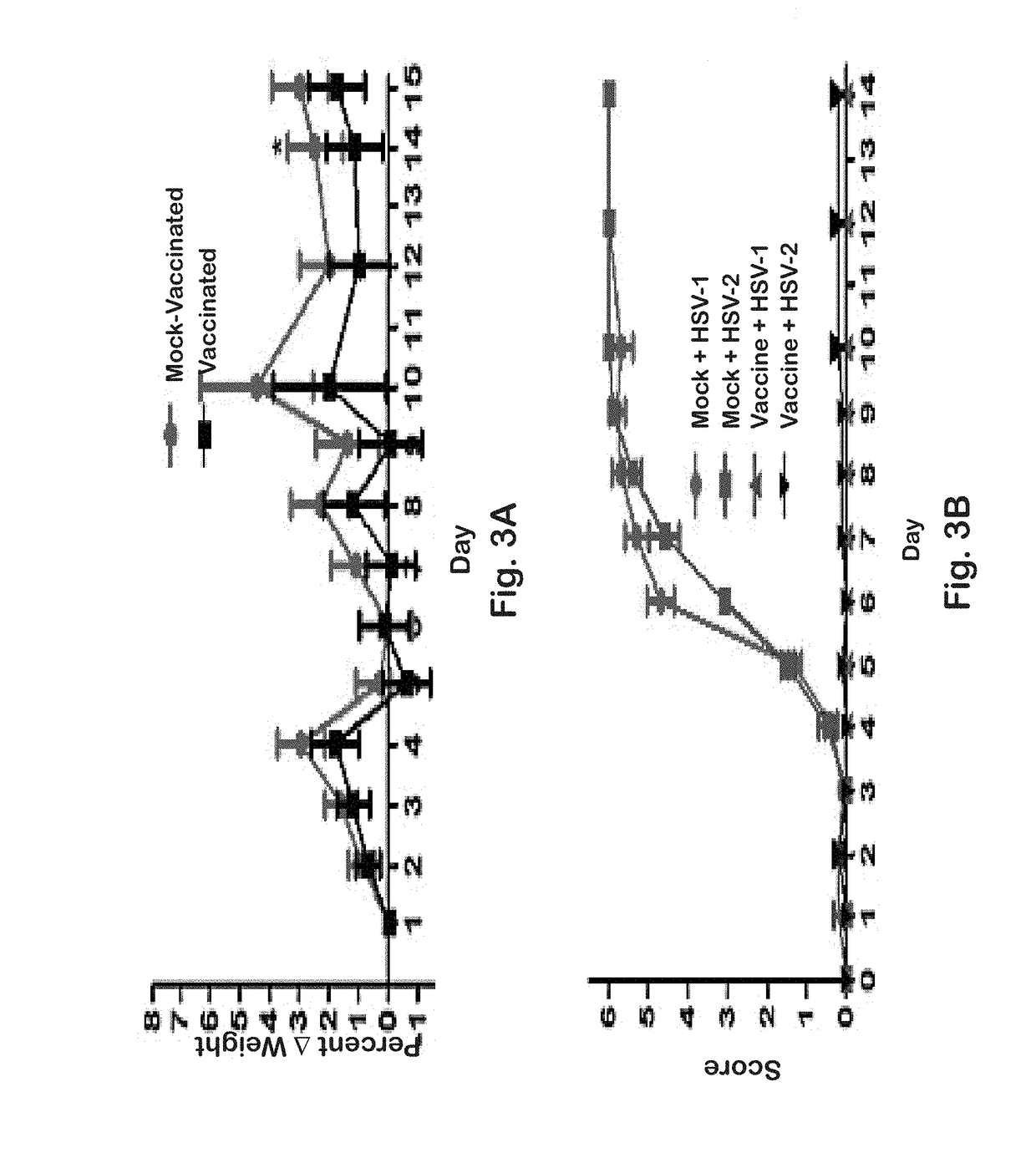 Vaccines against genital herpes simplex infections