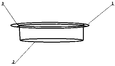 Method enabling standard growth of mango branches