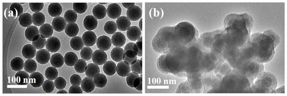 Selenium/double-layer silicon dioxide spherical shell nanoparticles and composition thereof