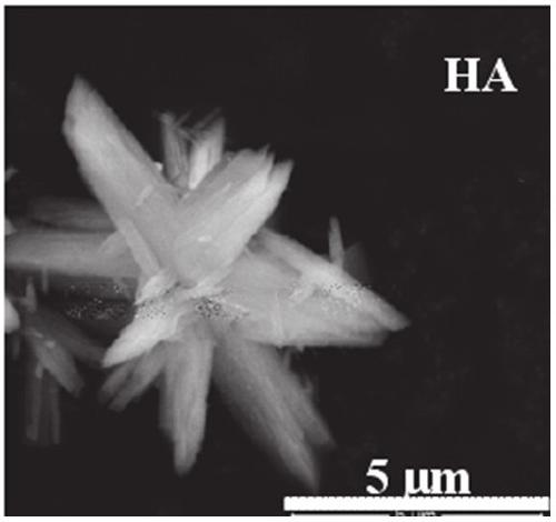 Preparation method of snowflake-shaped H-ZSM-5 molecular sieve