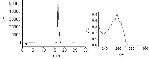 A method for rapid detection of phenyllactic acid isomers by reversed-phase high performance liquid chromatography