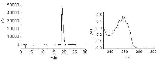 A method for rapid detection of phenyllactic acid isomers by reversed-phase high performance liquid chromatography