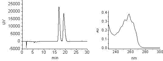 A method for rapid detection of phenyllactic acid isomers by reversed-phase high performance liquid chromatography