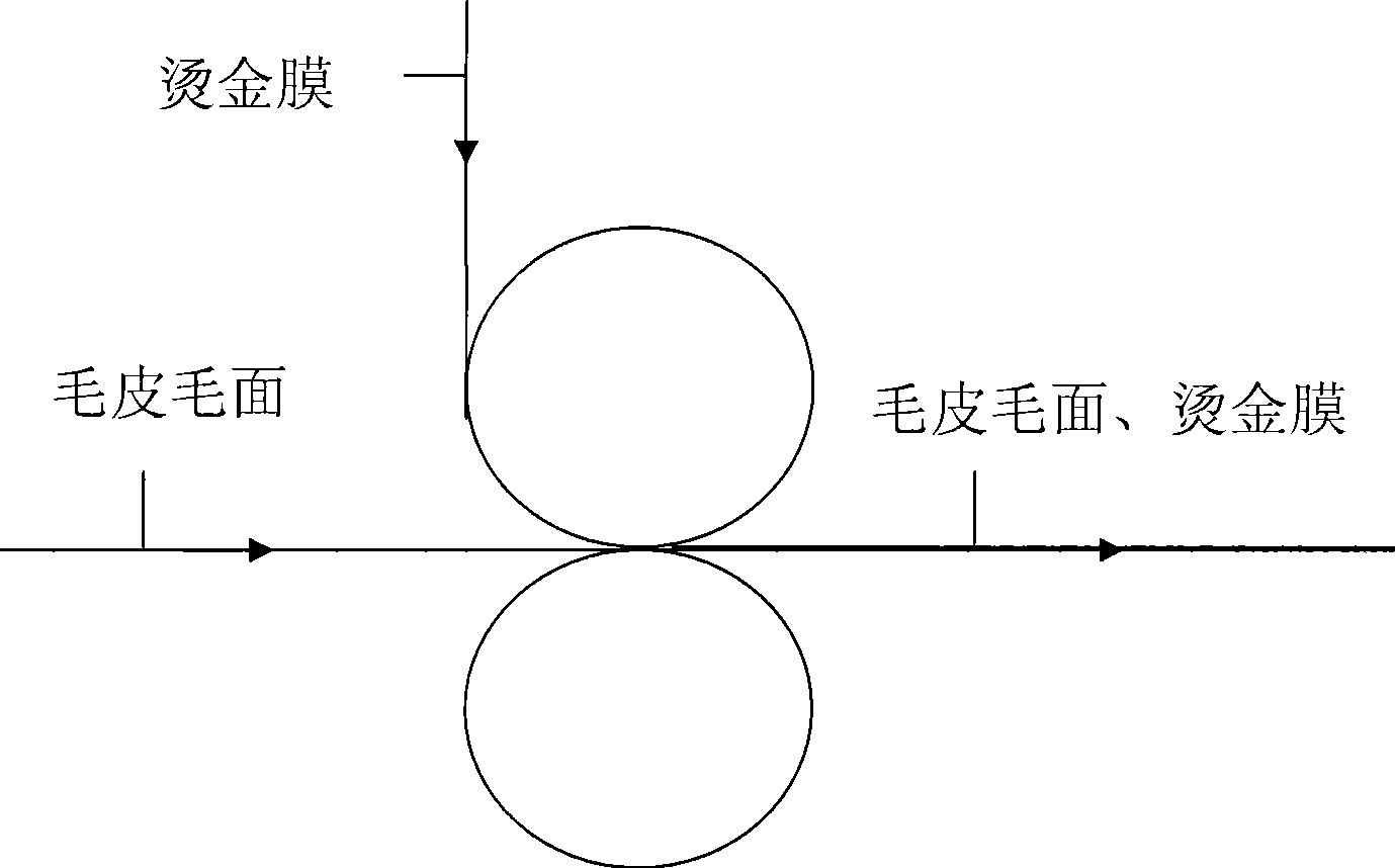 Method for decorating rough surface of fur skin and obtained product