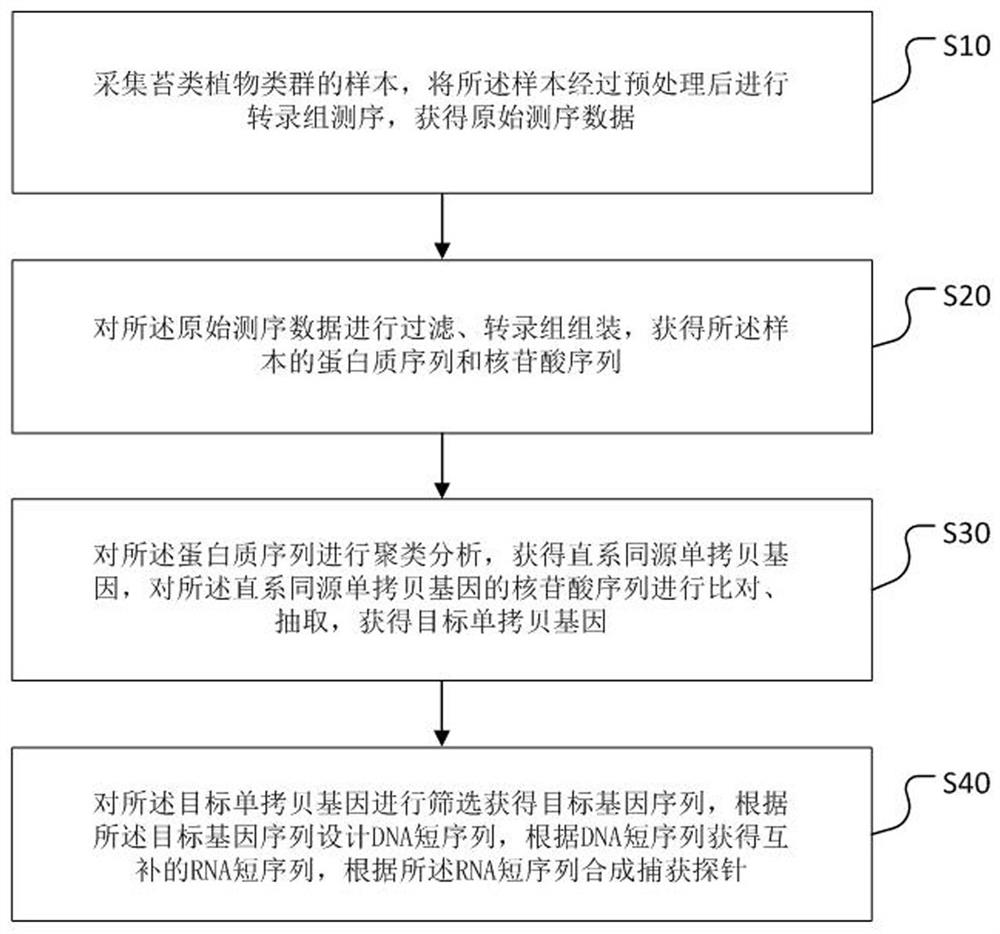 Design method of capture probe, capture probe and application of capture probe