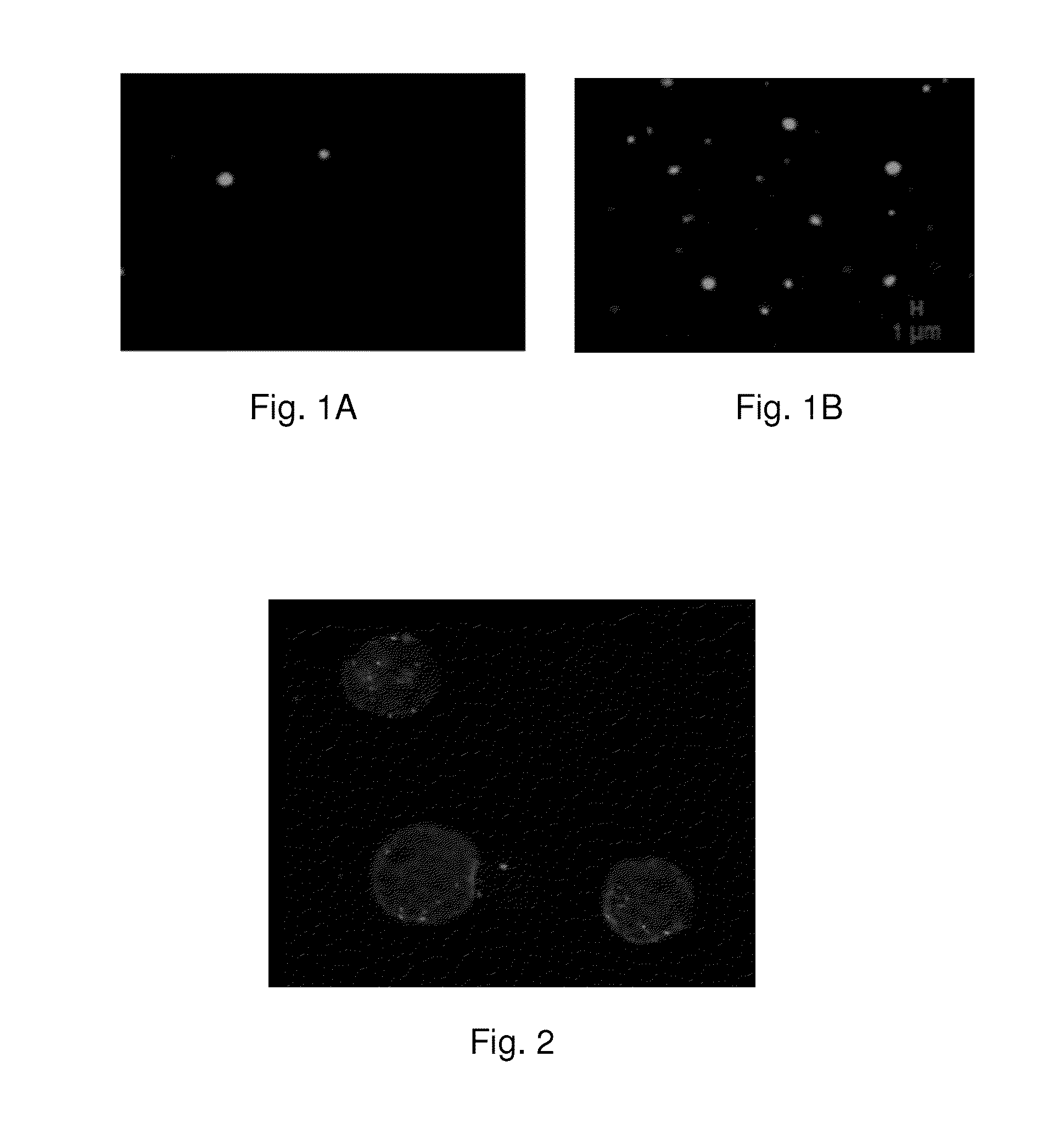 Tumor vaccine and method for producing the same