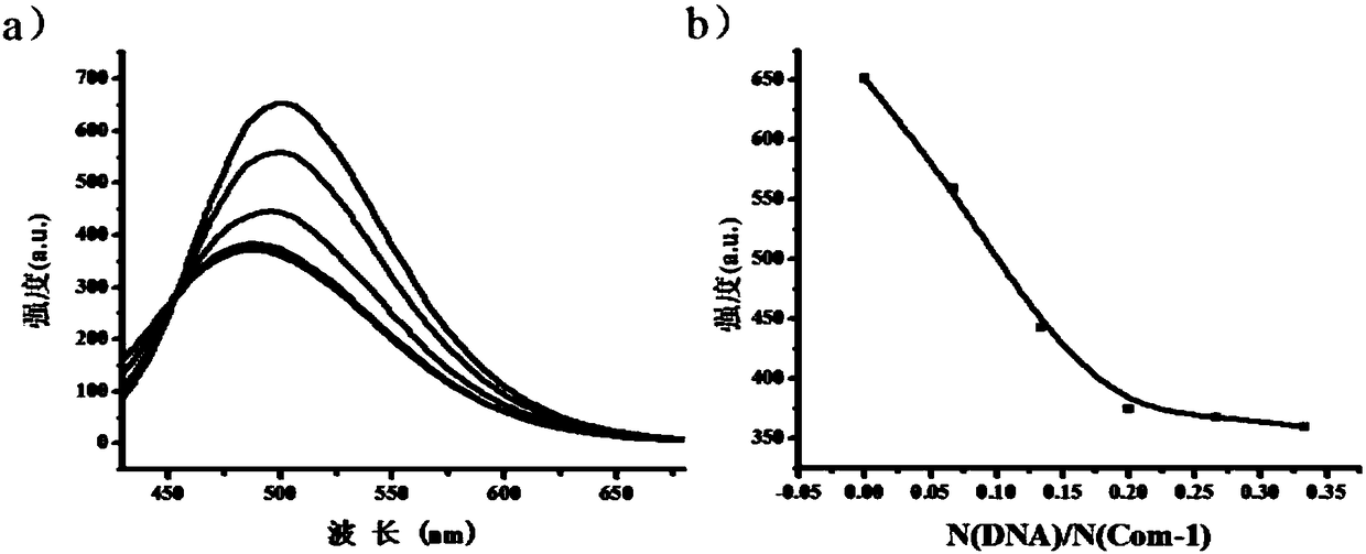 SOF nano gene vector for transfecting short-chain amino acids and preparation method and application of SOF nano gene vector