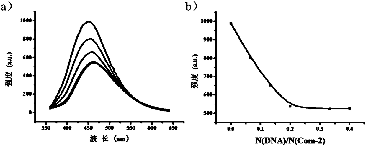 SOF nano gene vector for transfecting short-chain amino acids and preparation method and application of SOF nano gene vector