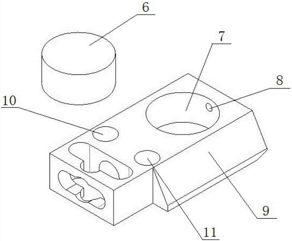 Sample fixing platform and freeze scanning electron microscope containing same