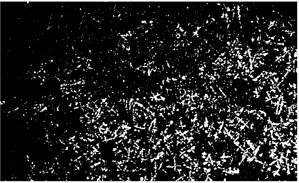 Thermal-etching and display method for treelike crystal of a low-carbon ER50-6 ingot blank