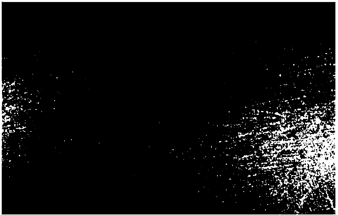 Thermal-etching and display method for treelike crystal of a low-carbon ER50-6 ingot blank