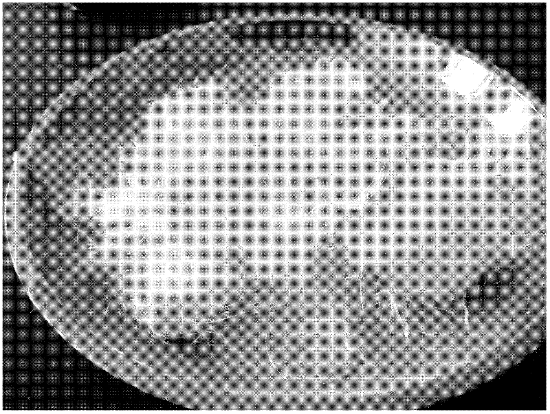 Method for preparing multielement assorted-fibred reinforced recycled concrete with low elasticity modulus